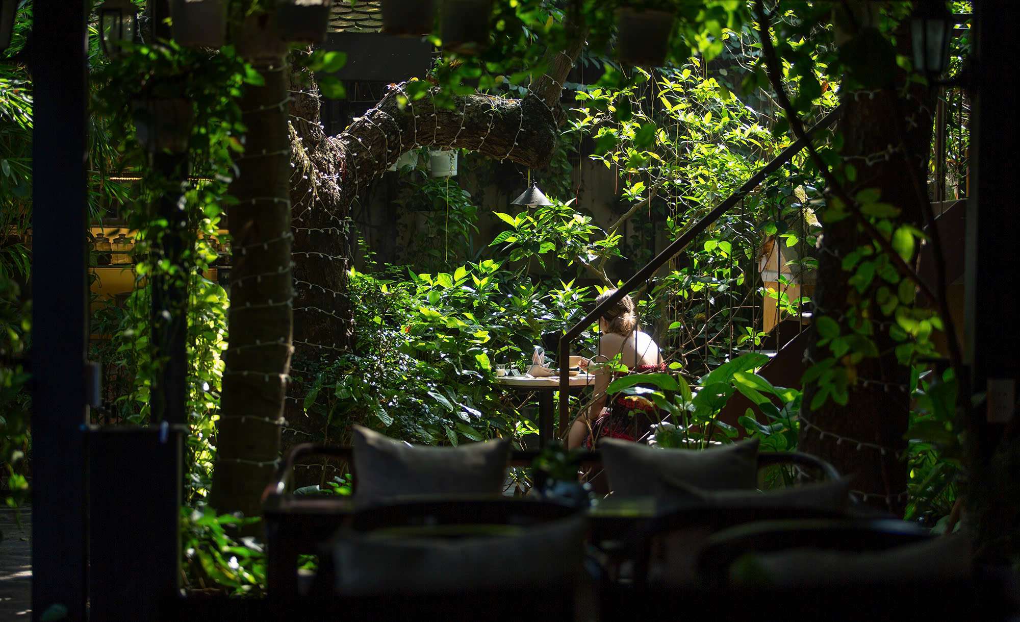 Best food in Hoi An - Secret Garden Restaurant